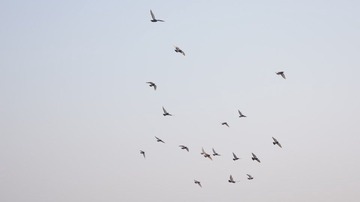 DSC00292.JPG