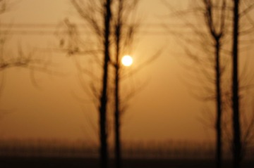 DSC00328.JPG