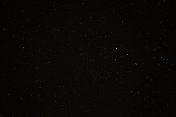 DSC01603.JPG