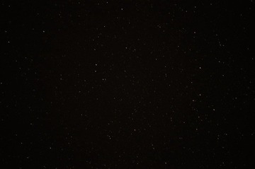 DSC01606.JPG