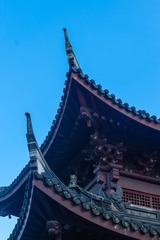 1F118976-F98B-4B6E-8076-4C5EF1217420/L0/001