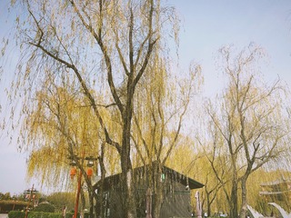 AD60BEB9-1D61-48B4-BC17-39678FC4D25D/L0/001