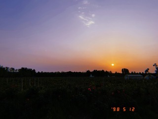 55FB5D09-291F-499B-A1B3-969EDEF71E58/L0/001