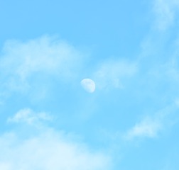 52575