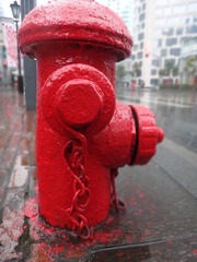 DSC00648.JPG