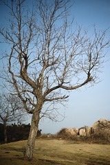 E9A58CA8-A9CB-417C-AA80-3D0D44E19DA5/L0/001