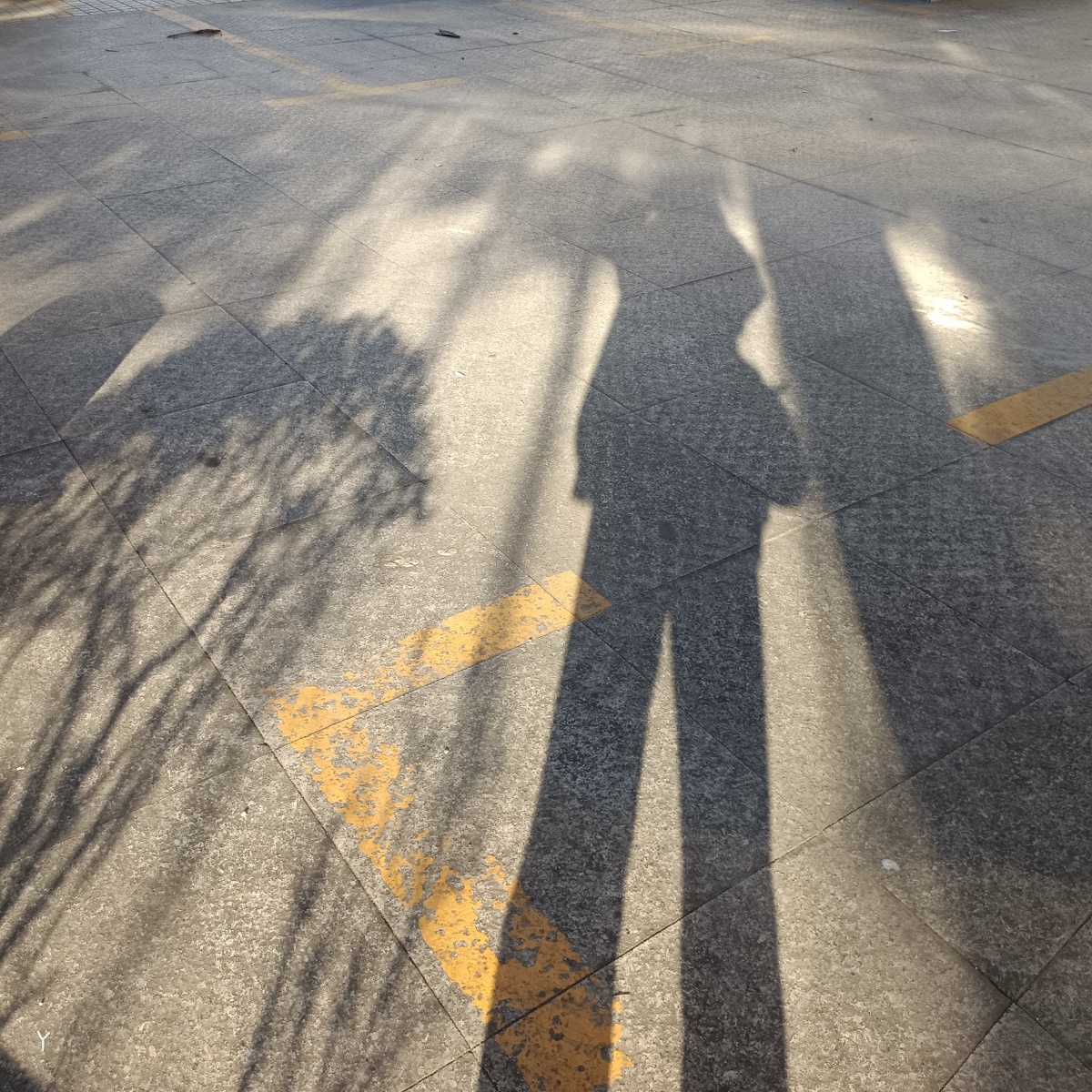 没有谁会无条件的陪你连影子也会在阴天缺席