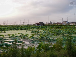 811877