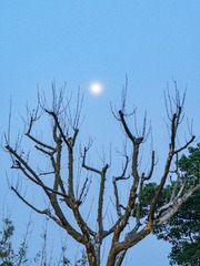 441AB769-1B67-4533-ACD7-B1177CE30763/L0/001