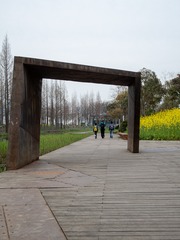 IMGP1568