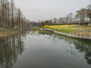 IMGP1551