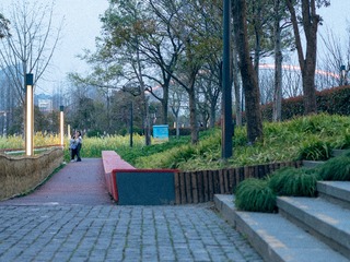 IMGP1593