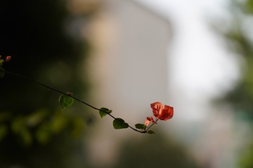 58515AE8-3A2E-4113-AA9D-C07738066DBB/L0/001