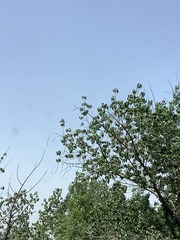 0BA233A7-2C2F-4691-96CE-F0208C69C567/L0/001