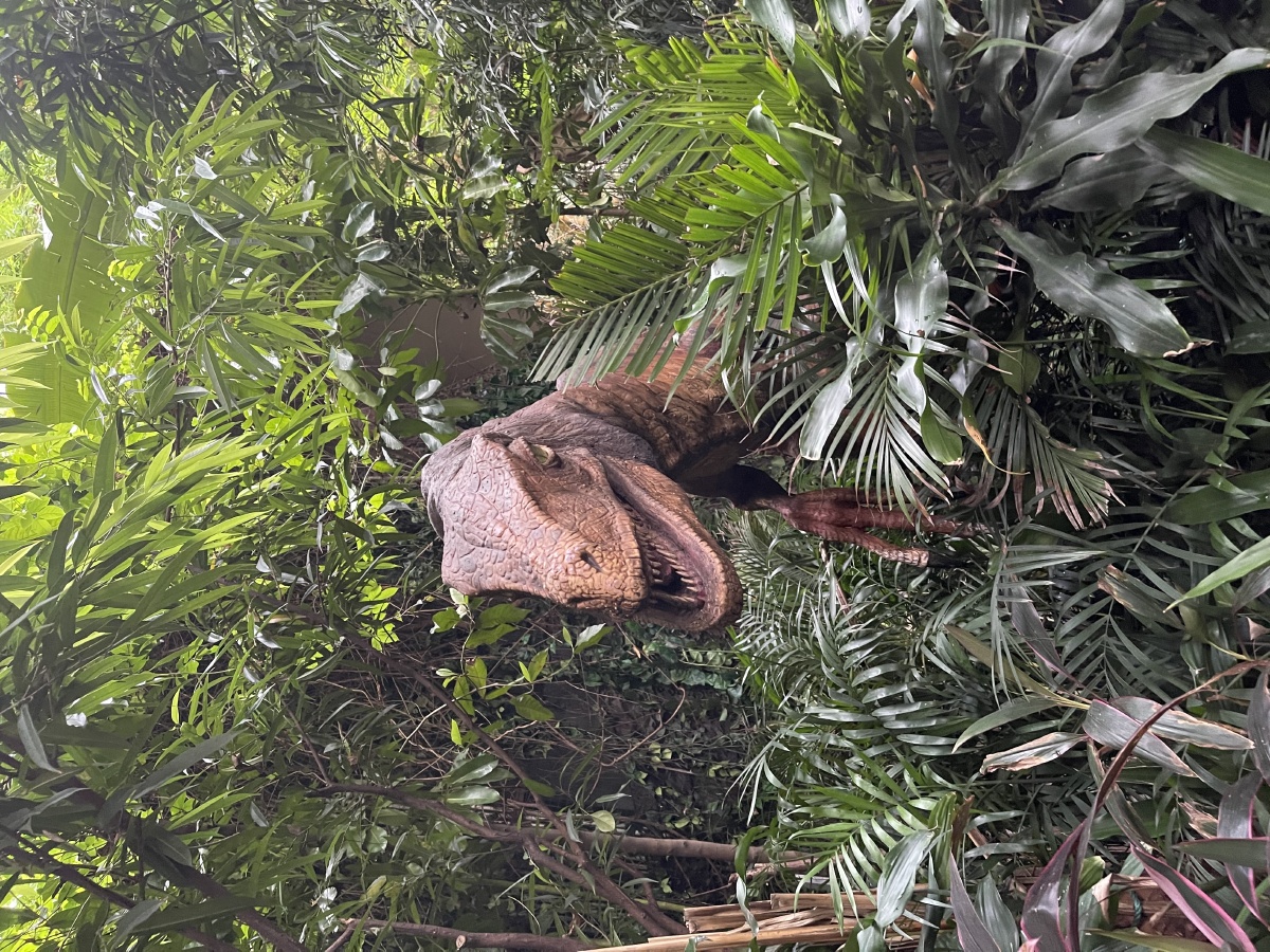 广州长隆野生动物园 - 朱某圆子