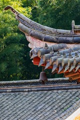 YU WANG SI16