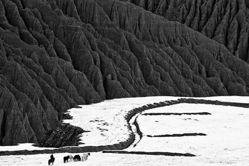 _MG_8231.jpg