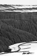 _MG_8183.jpg