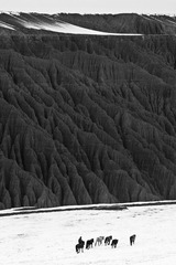 _MG_8179.jpg