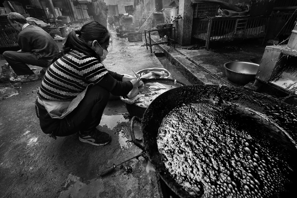 准备拔鸭毛的沥青锅