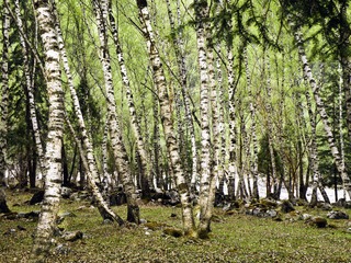 P5190005.jpg