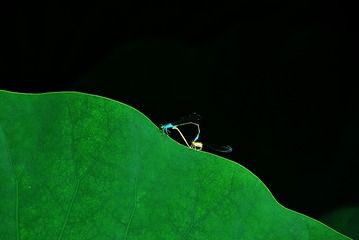 9854520