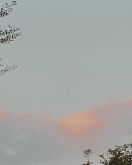 07F34DFA-5A77-4C66-9258-A76ECC966DC5/L0/001