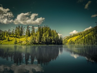 _7310342.jpg