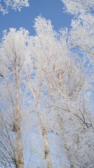 50885014-FF8E-483B-96A9-6FCAC8E100F7/L0/001