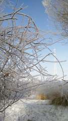 1A00E0CF-8D46-4735-BA40-6369B8499958/L0/001