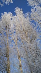 AB3B1096-C899-4BA3-AB49-9A7D036C3CA7/L0/001