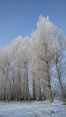 EF7AD2C1-F5CE-497E-8F62-B6561EF2E189/L0/001