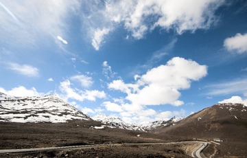 _DSC6382.jpg