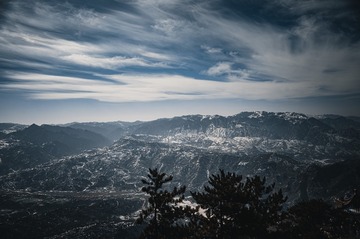 1000067293