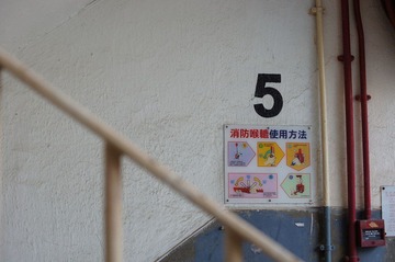 DSC05371.JPG