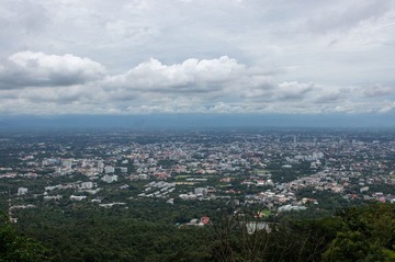 DSC01516.jpg