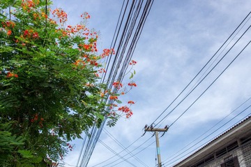 DSC01576.jpg