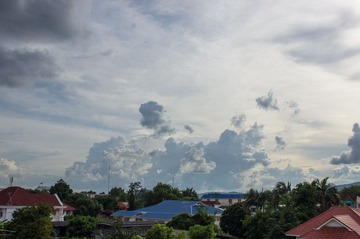 DSC01584.jpg