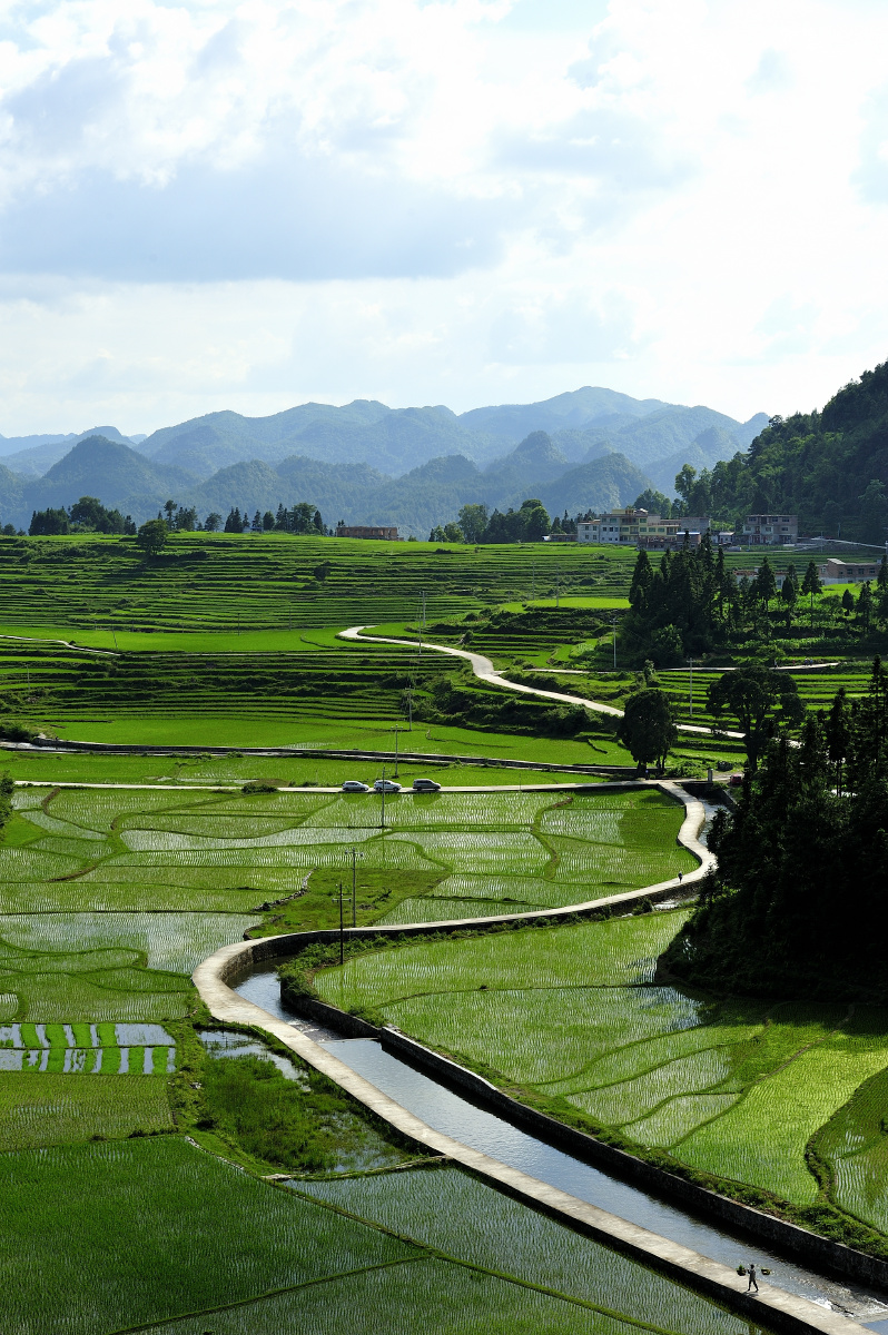 贵定的布依族山寨腊利村美丽的田园风光离不开劳作者