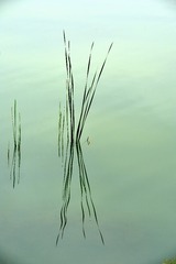 1000033045