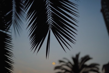 D584769F-D453-4BCE-A439-D88D88BB7E3D/L0/001
