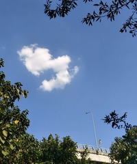 1124405