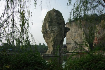 IMGP2519.jpg