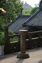 IMGP2529.jpg