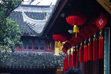 IMGP3810-41.jpg