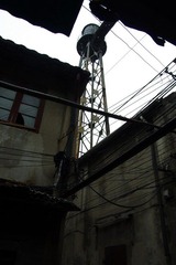 IMGP4808.jpg