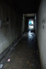 IMGP4820.jpg