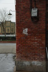 IMGP4844.jpg