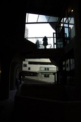 IMGP4971.jpg