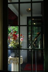 IMGP8335.jpg